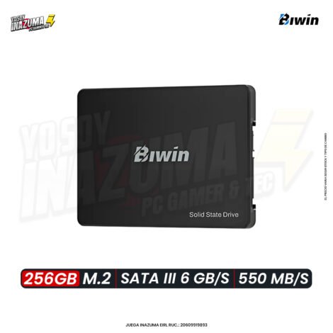 ALMACENAMIENTO SOLIDO BIWIN M100, 256GB, SATA 6GB